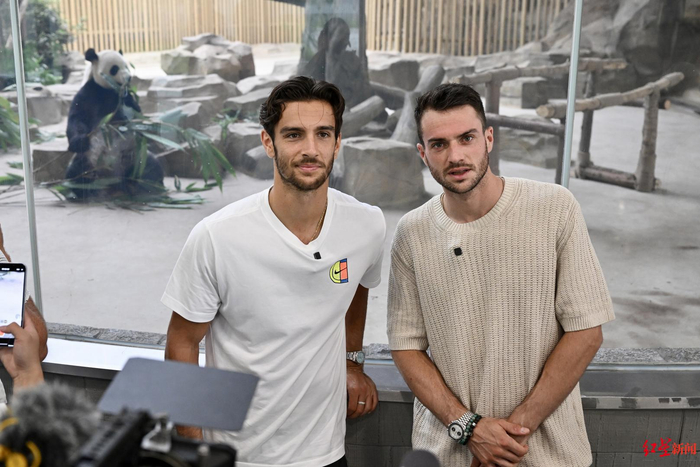 更无奈的是 更无奈的是