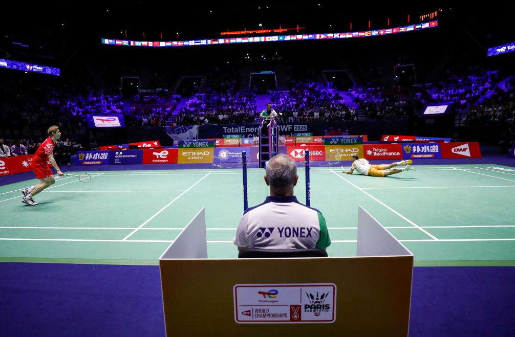 的世界里 的世界里