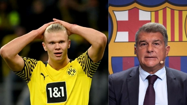 既定分工迅 既定分工迅